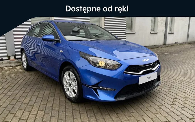 samochody osobowe Kia Ceed cena 108900 przebieg: 10, rok produkcji 2024 z Złotoryja